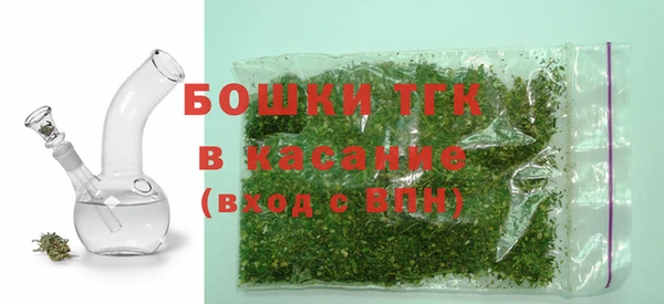 эйфоретик Арсеньев