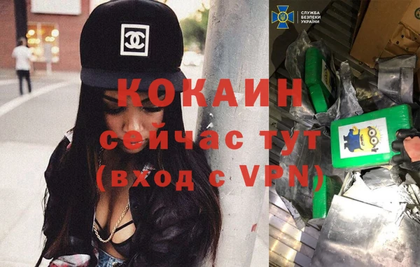 стаф Аркадак