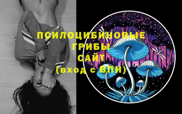 твердый Армянск
