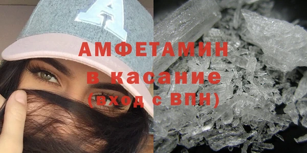 стаф Аркадак