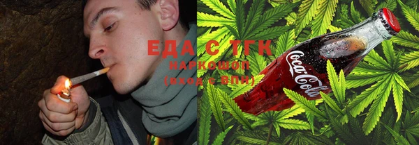 стаф Аркадак