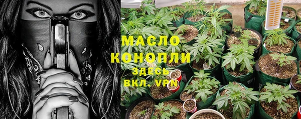 эйфоретик Арсеньев