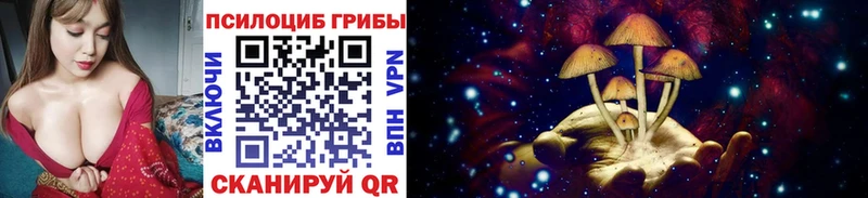 Псилоцибиновые грибы мицелий  ОМГ ОМГ ТОР  Остров 
